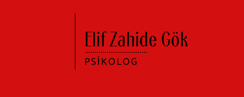 Elif Zahide Gök